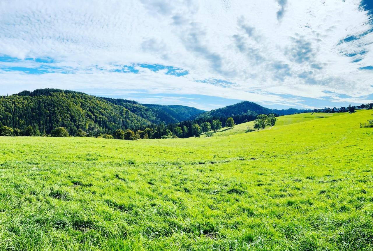 Ferienhaus Doina Gehlberg Ngoại thất bức ảnh