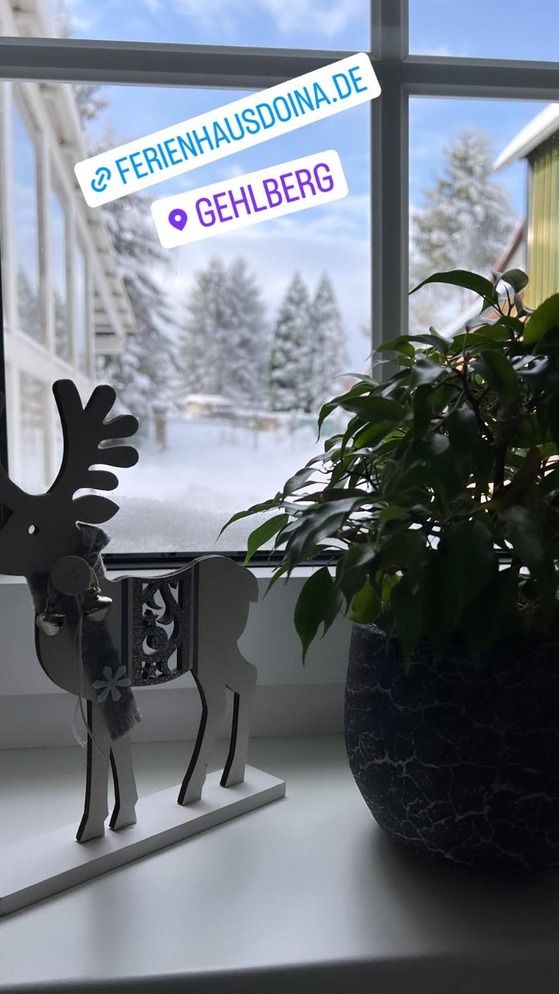 Ferienhaus Doina Gehlberg Ngoại thất bức ảnh